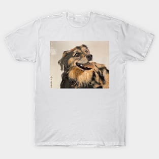 Smiling Collie T-Shirt